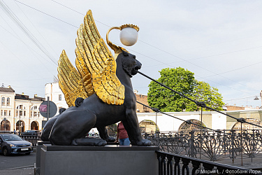 «Летние встречи в Петербурге – 7 дней»